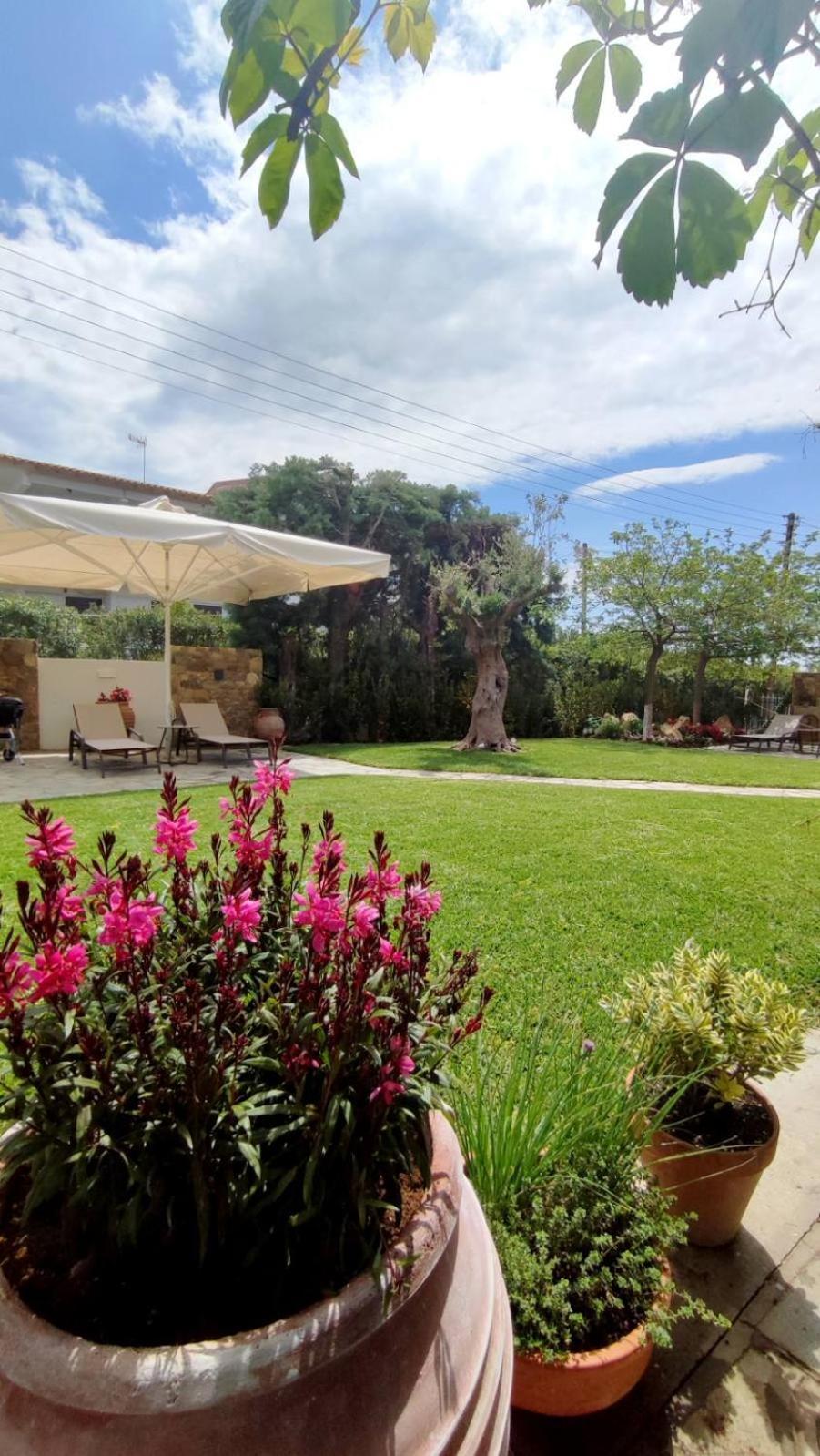 Coel Luxury Suites By Rentalspro Services - Potidea Halkidiki 네아 포티데아 외부 사진